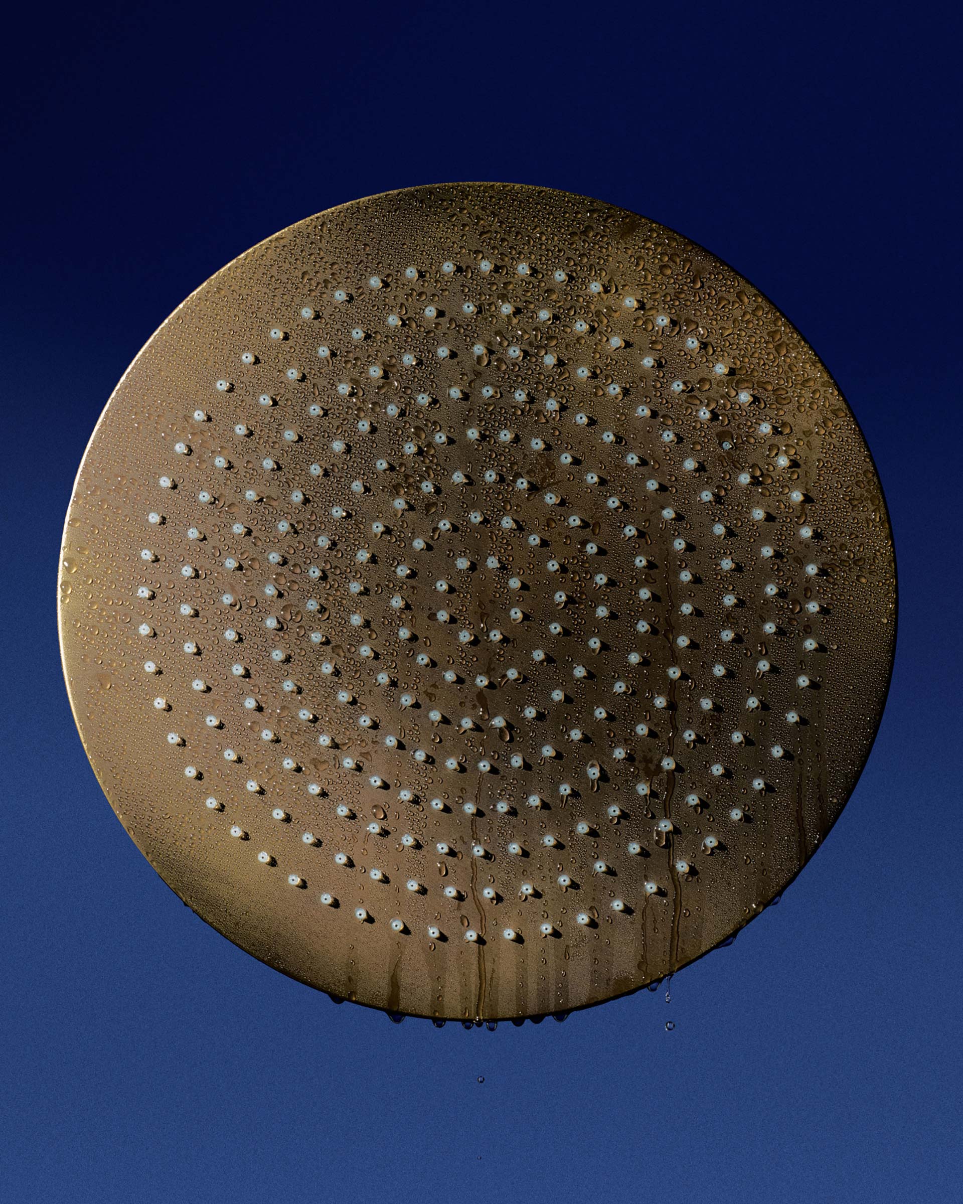 Pitella 50th Anniversary Campaign March, 2026 by  Henry King