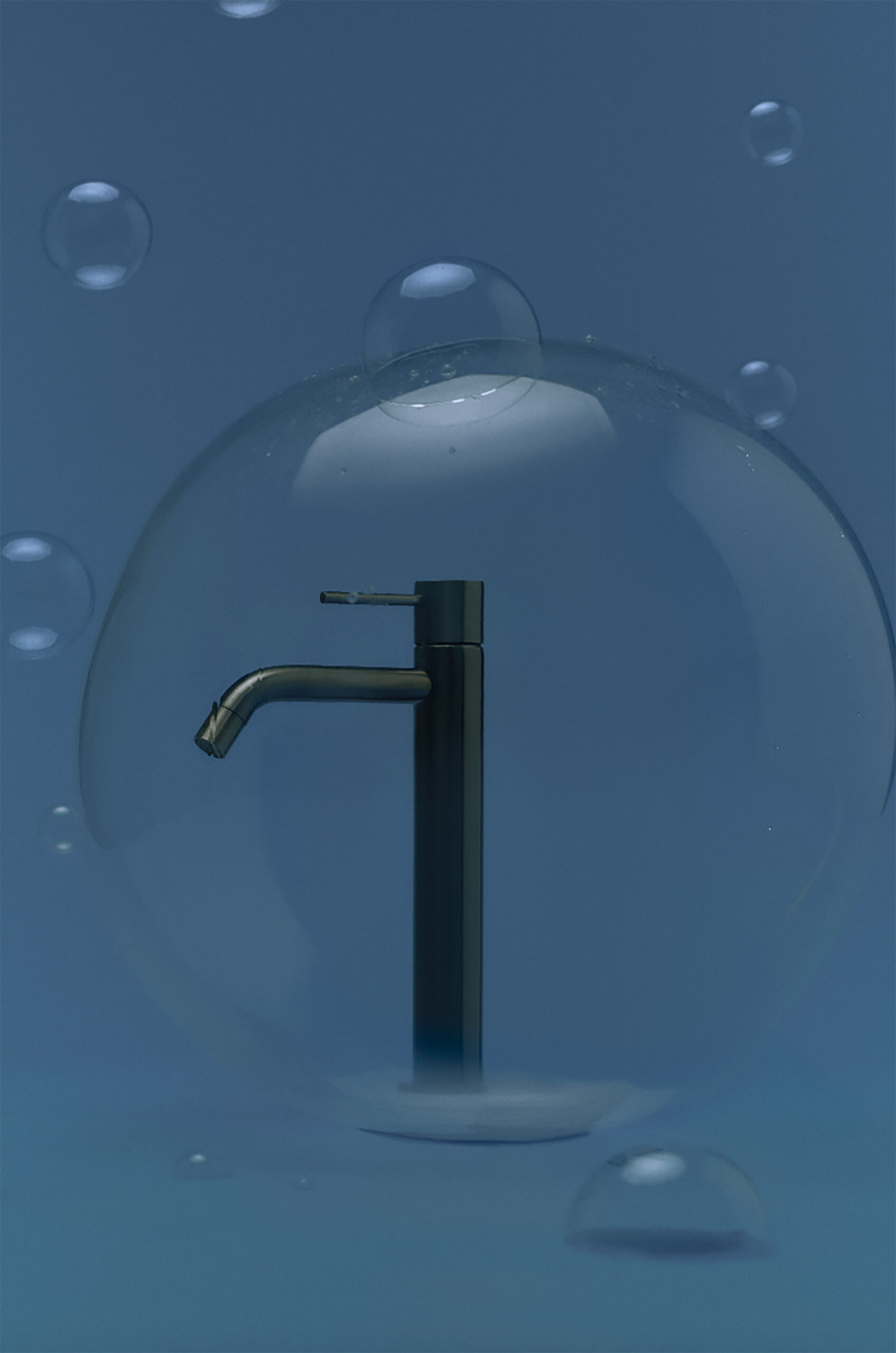 Pitella 50th Anniversary Campaign March, 2026 by  Henry King