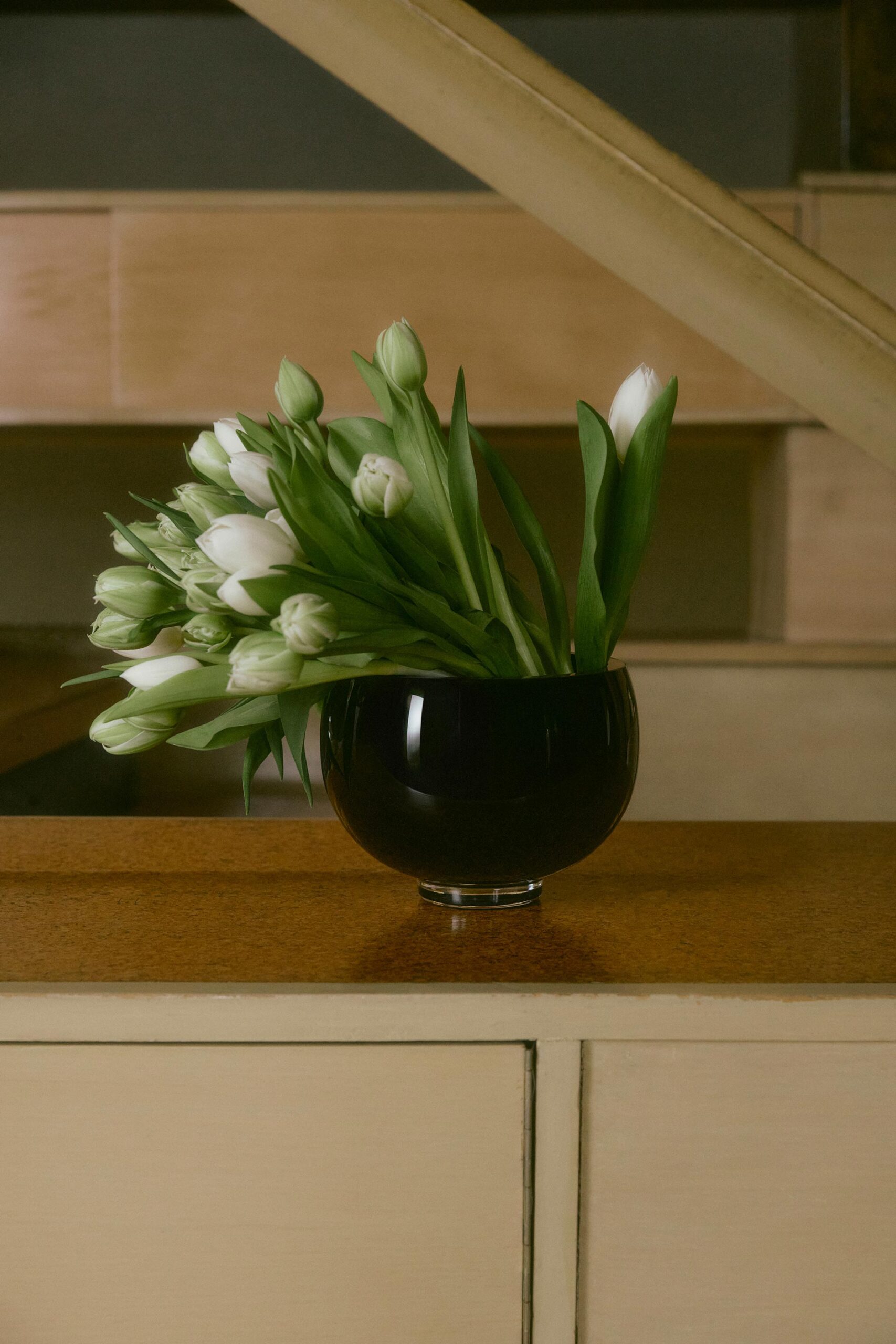 Gorgeous Nothing Launch Campaign February, 2026 by  Lilli Waters