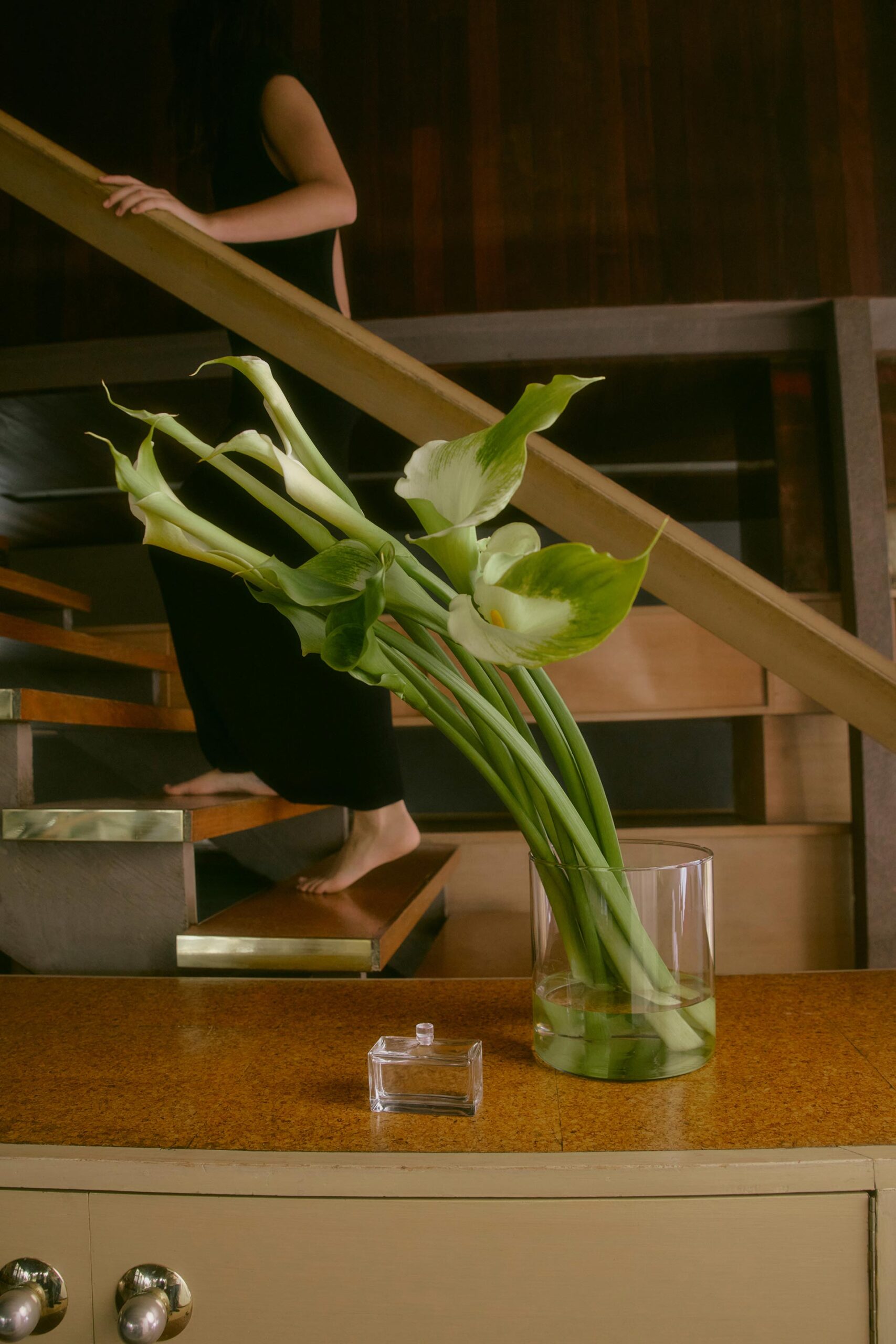 Gorgeous Nothing Launch Campaign February, 2026 by  Lilli Waters