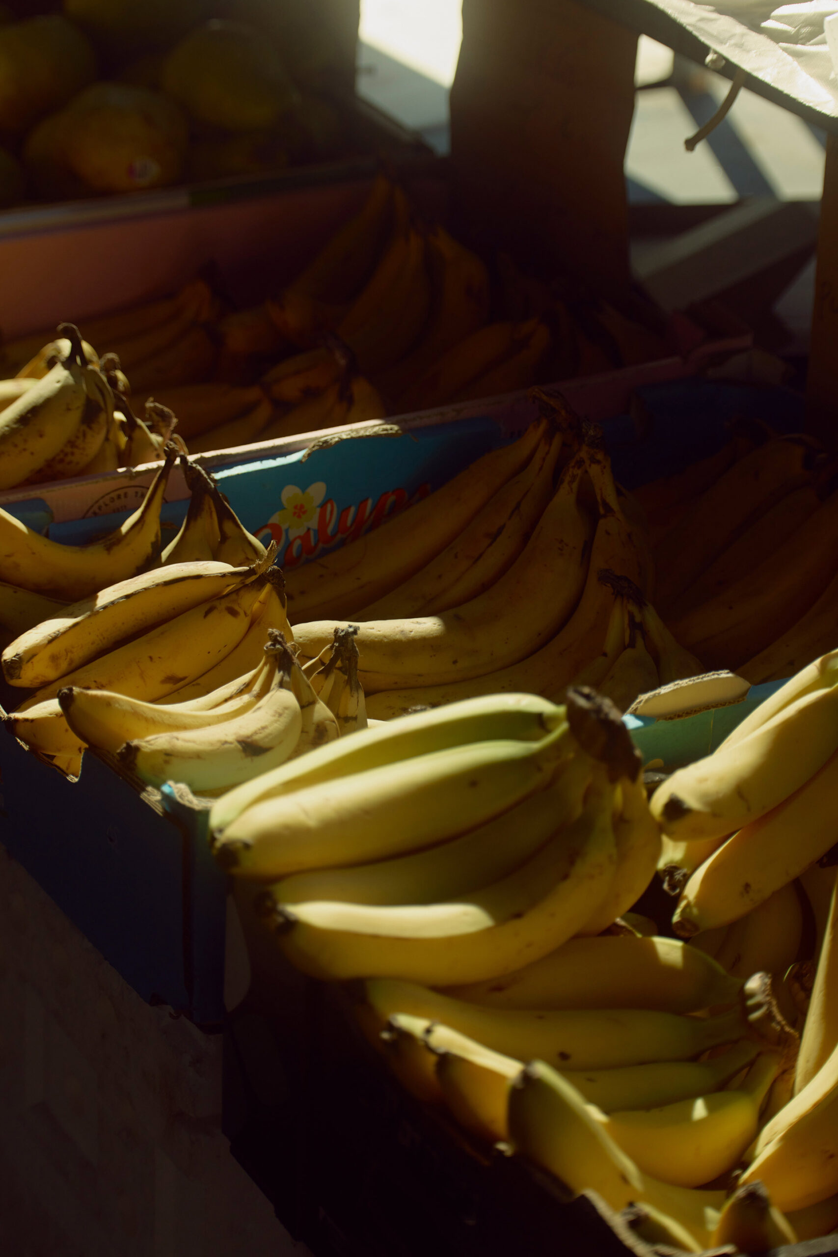 Right Angle Commission February, 2026 by  Lilli Waters