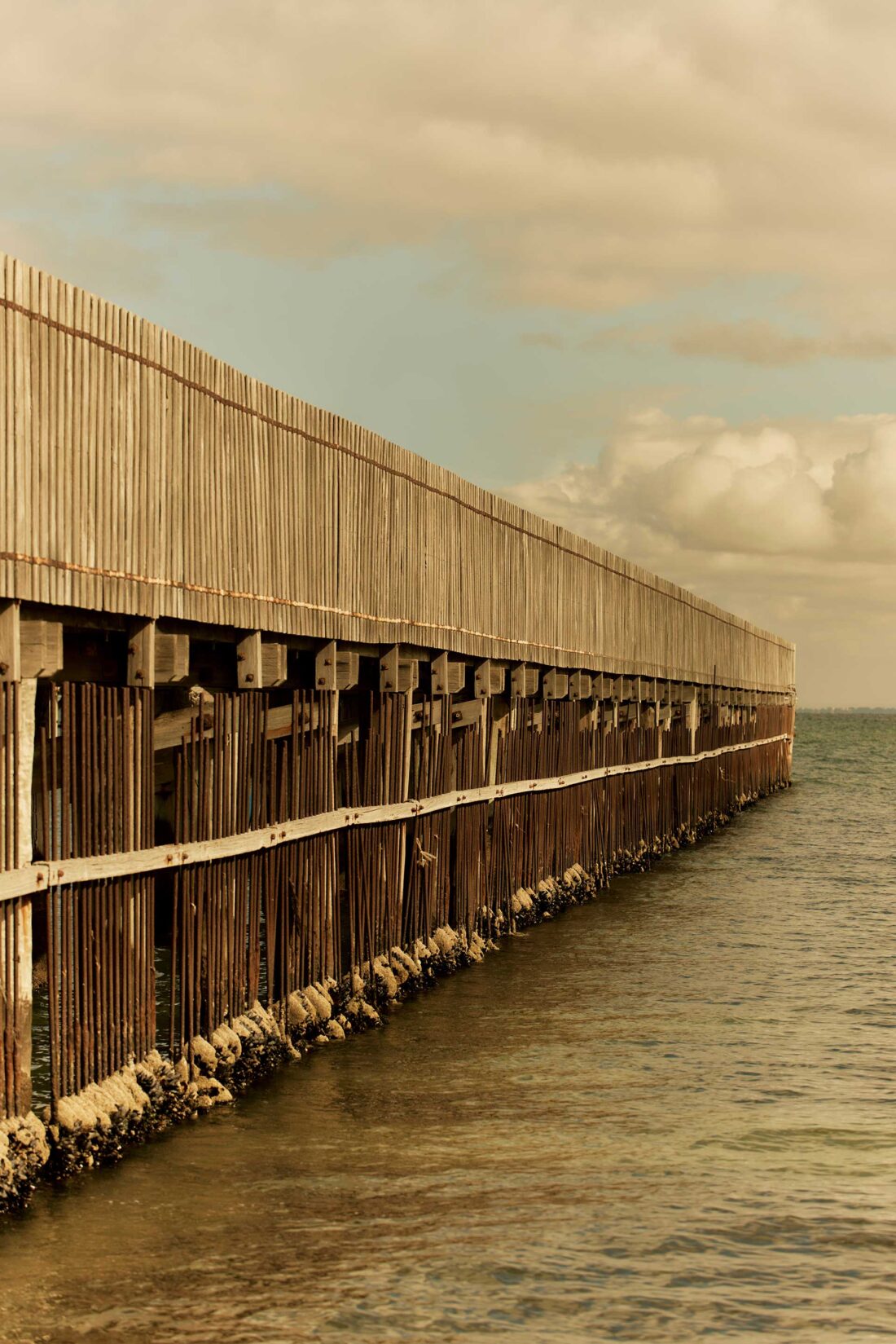 Grenade Studio Maratima November, 2024 by Lilli Waters 