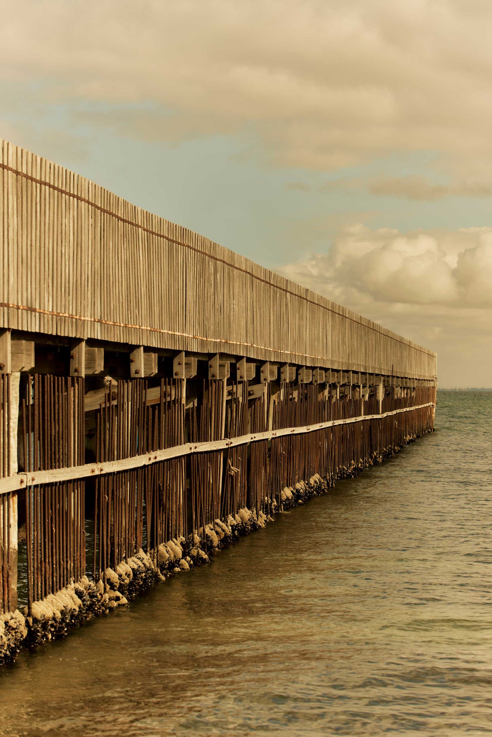 Grenade Studio Maratima November, 2024 by  Lilli Waters