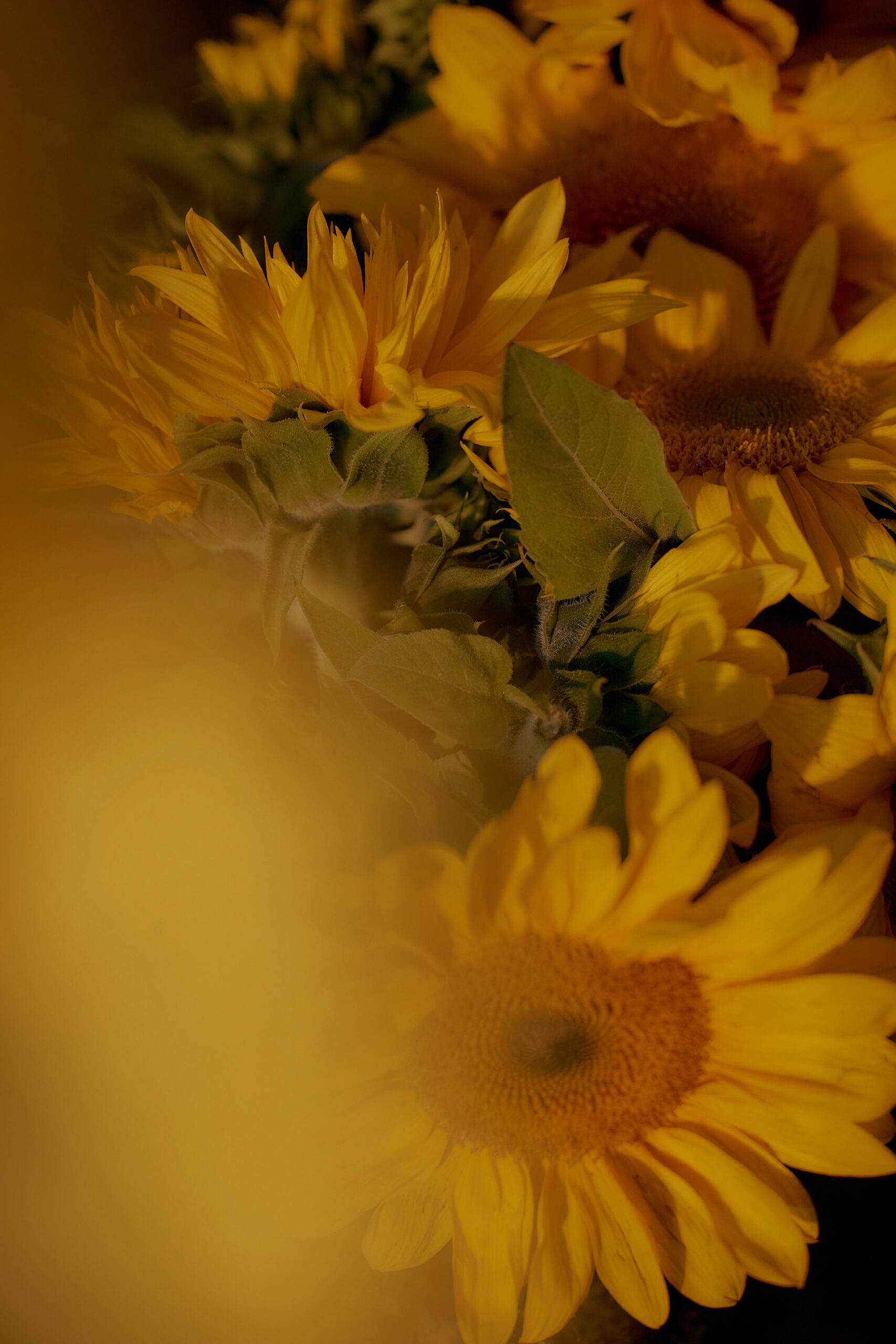 Grenade Studio Maratima November, 2024 by  Lilli Waters