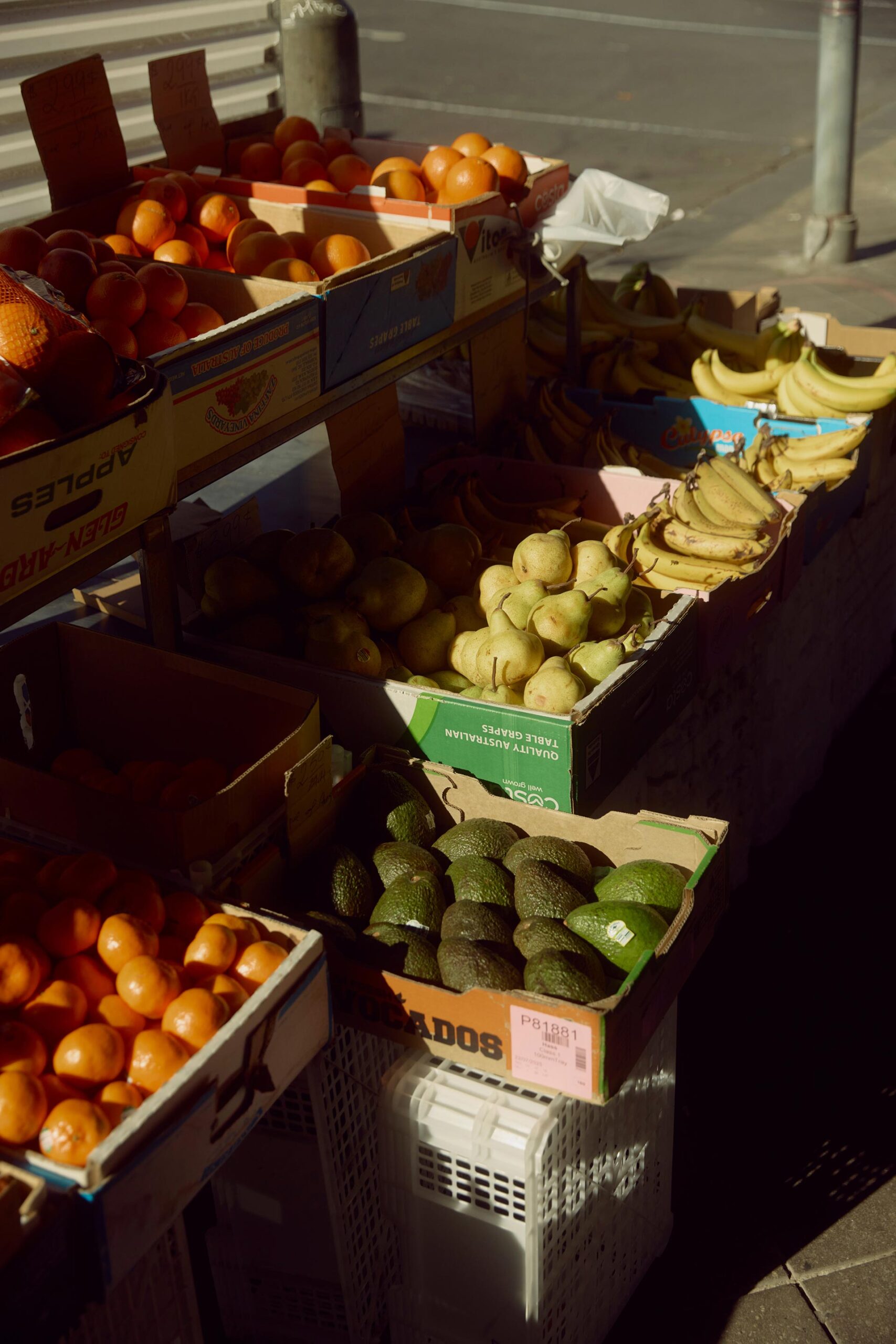 Right Angle Commission February, 2026 by  Lilli Waters