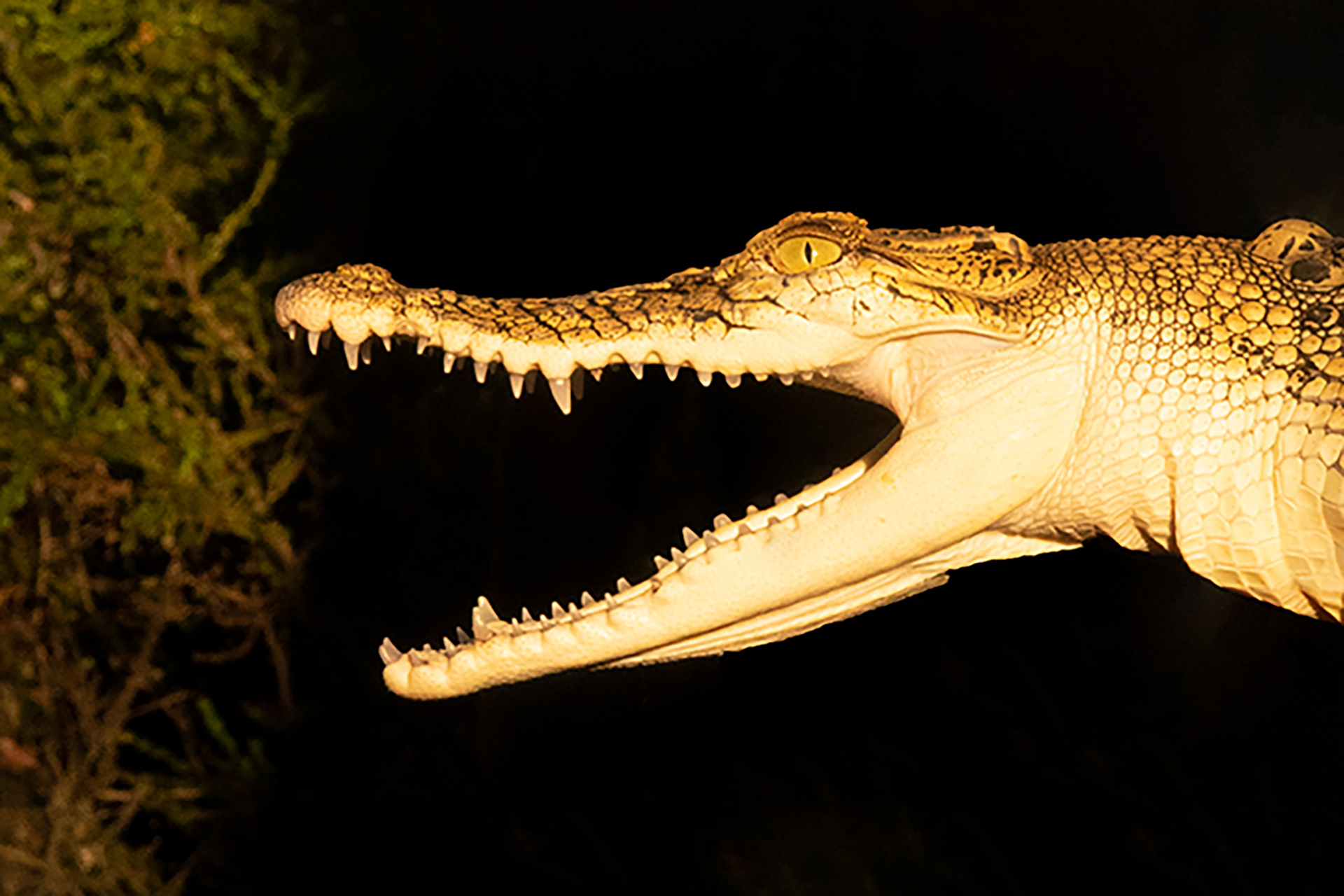 032C F/W 22 October, 2022 by  Zac Bayly