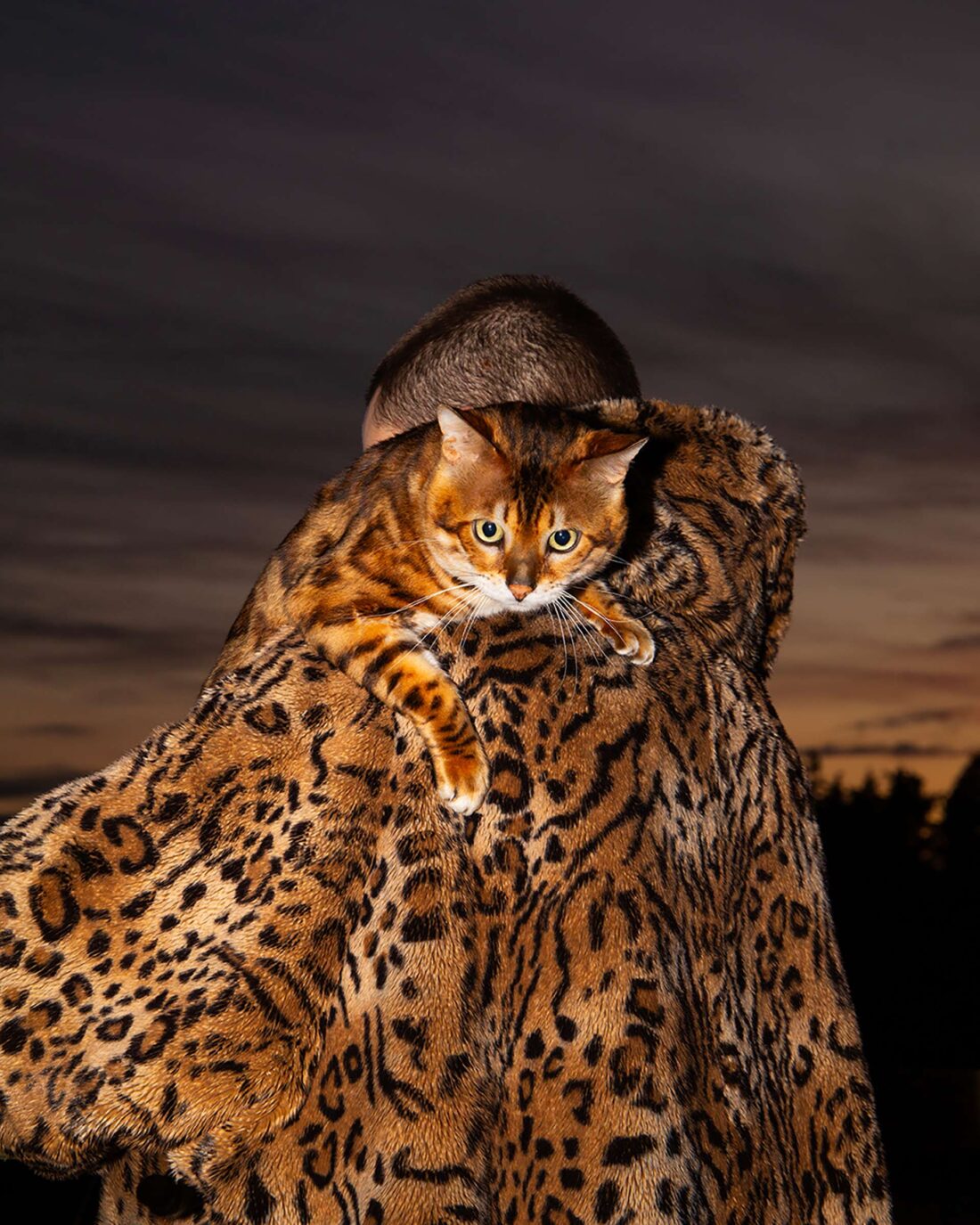 Another Magazine We Should Have Each Other To Dinner August, 2024 by Zac Bayly 