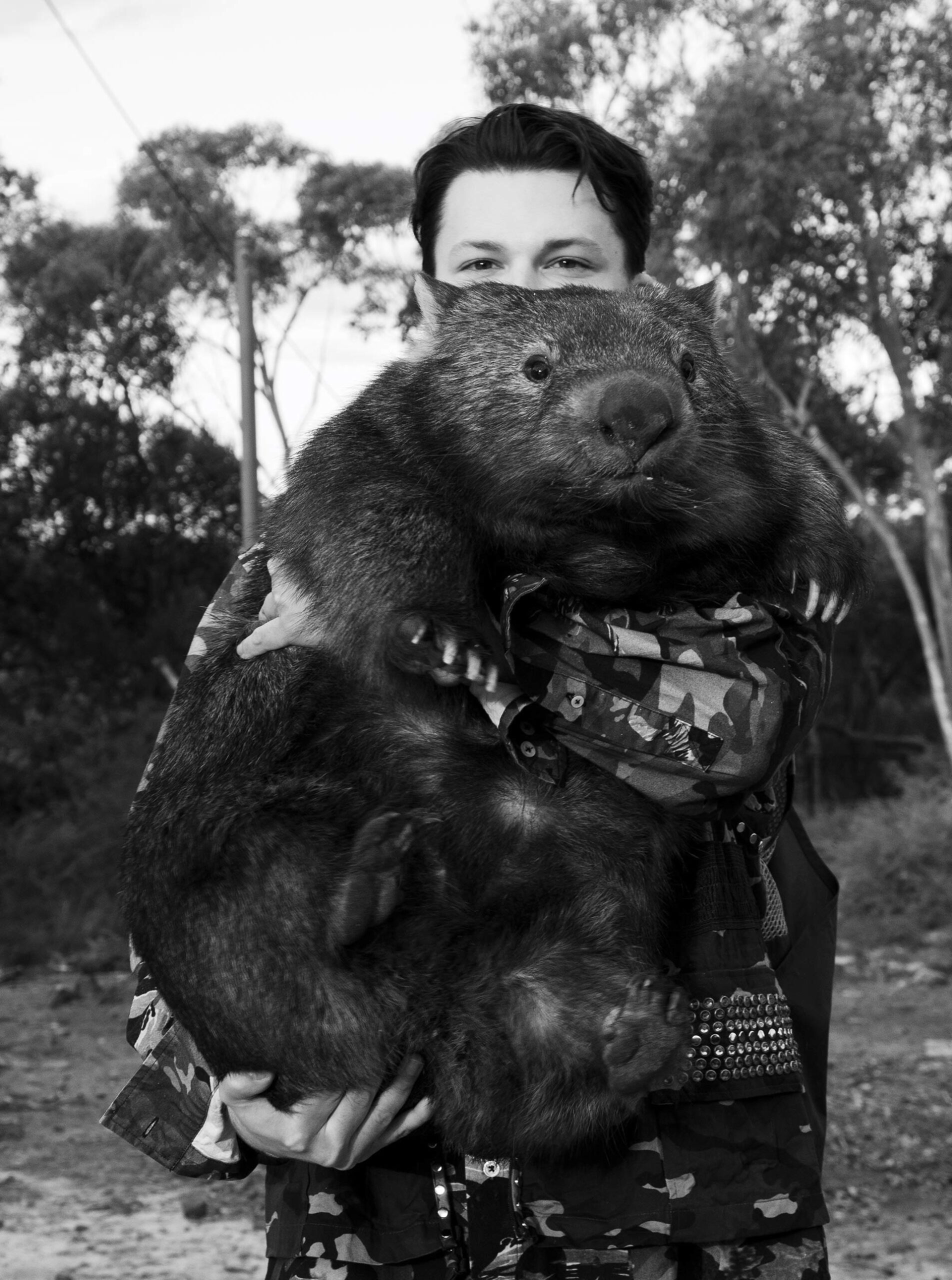More Or Less Toby The Wombat Guy September, 2024 by  Zac Bayly