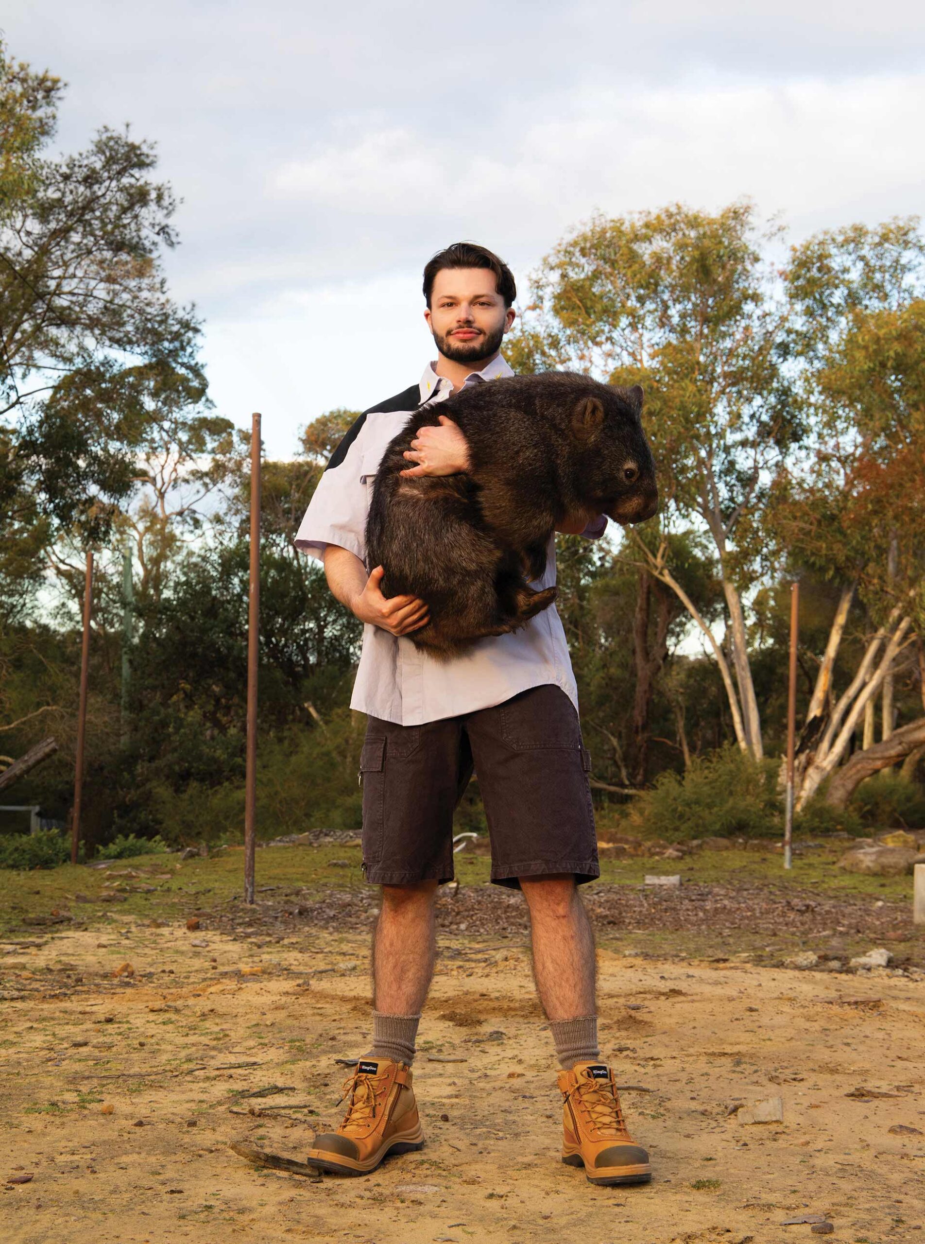 More Or Less Toby The Wombat Guy September, 2024 by  Zac Bayly