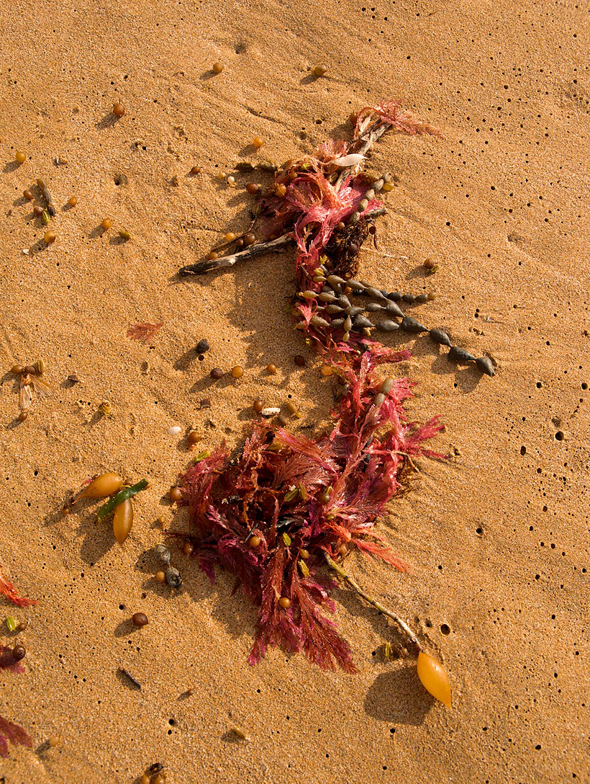 Rave Zine Issue 3 July, 2023 by  Zac Bayly