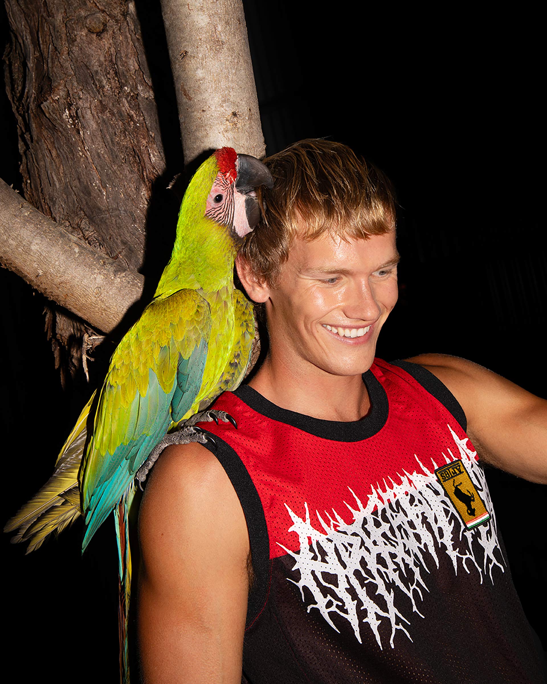 Aries Fall 24 September, 2024 by  Zac Bayly