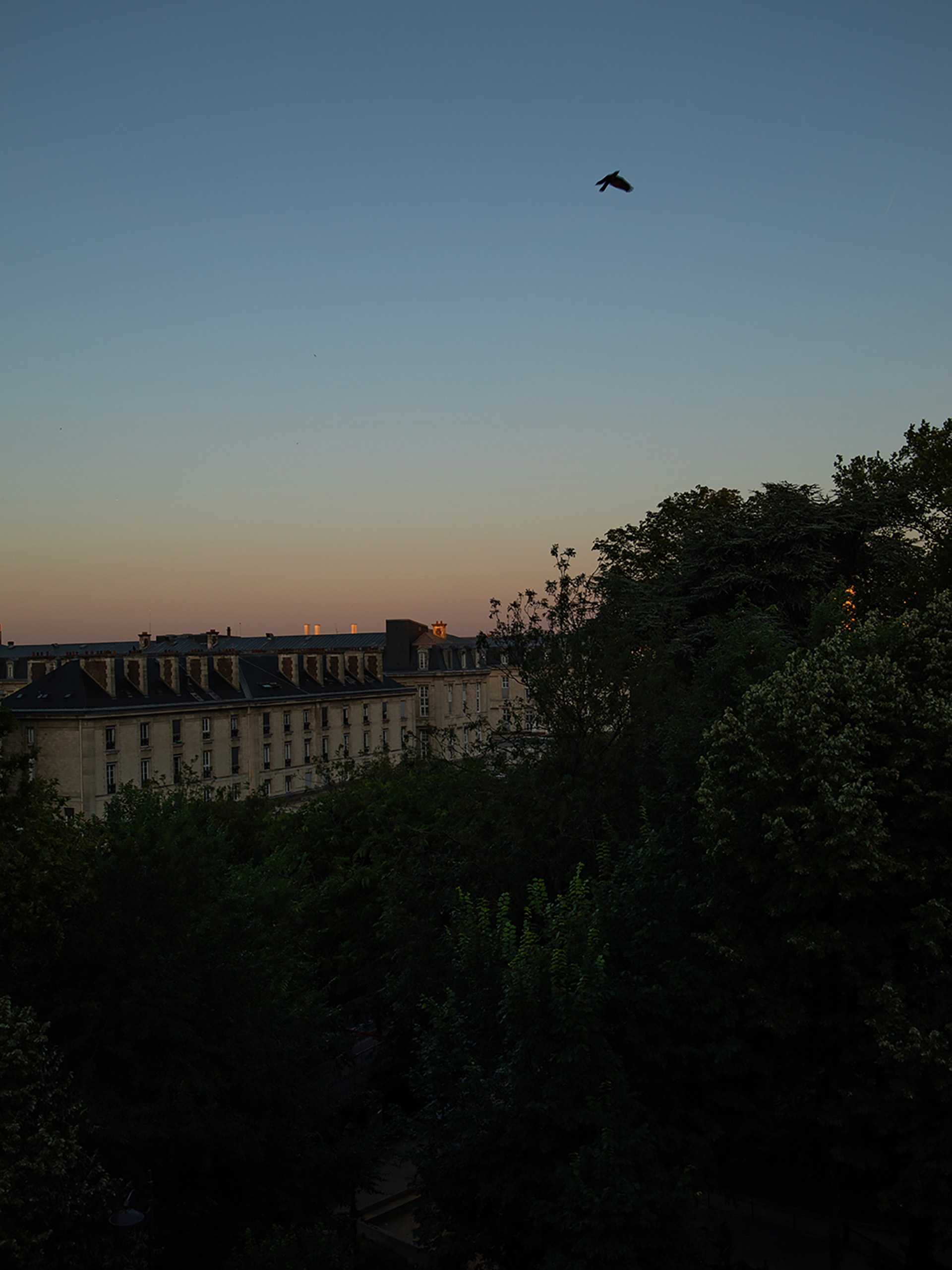 SSAW Magazine Tomorrow Is Another Day June, 2025 by  Zac Bayly