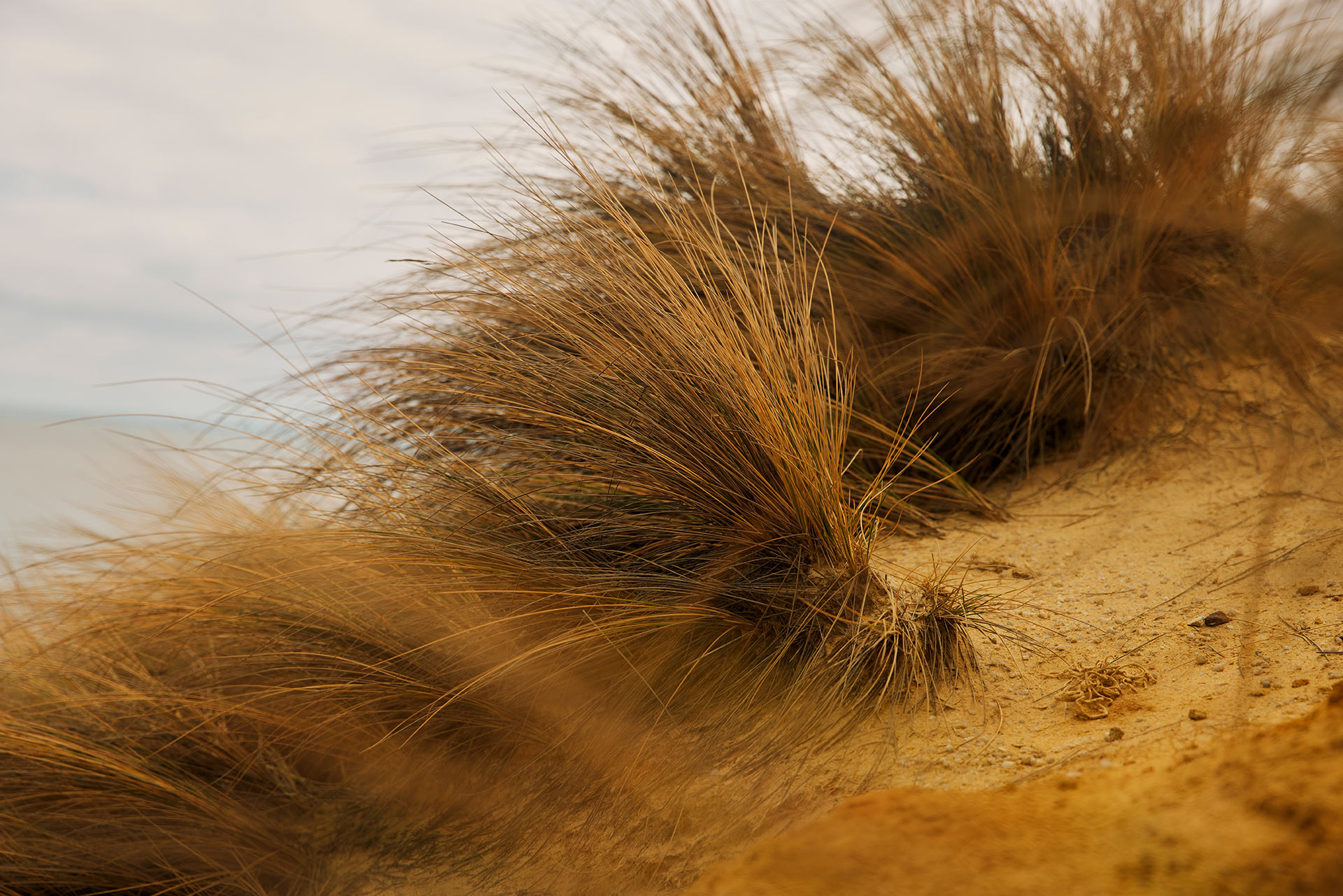 Grenade Studio Maratima November, 2024 by  Lilli Waters