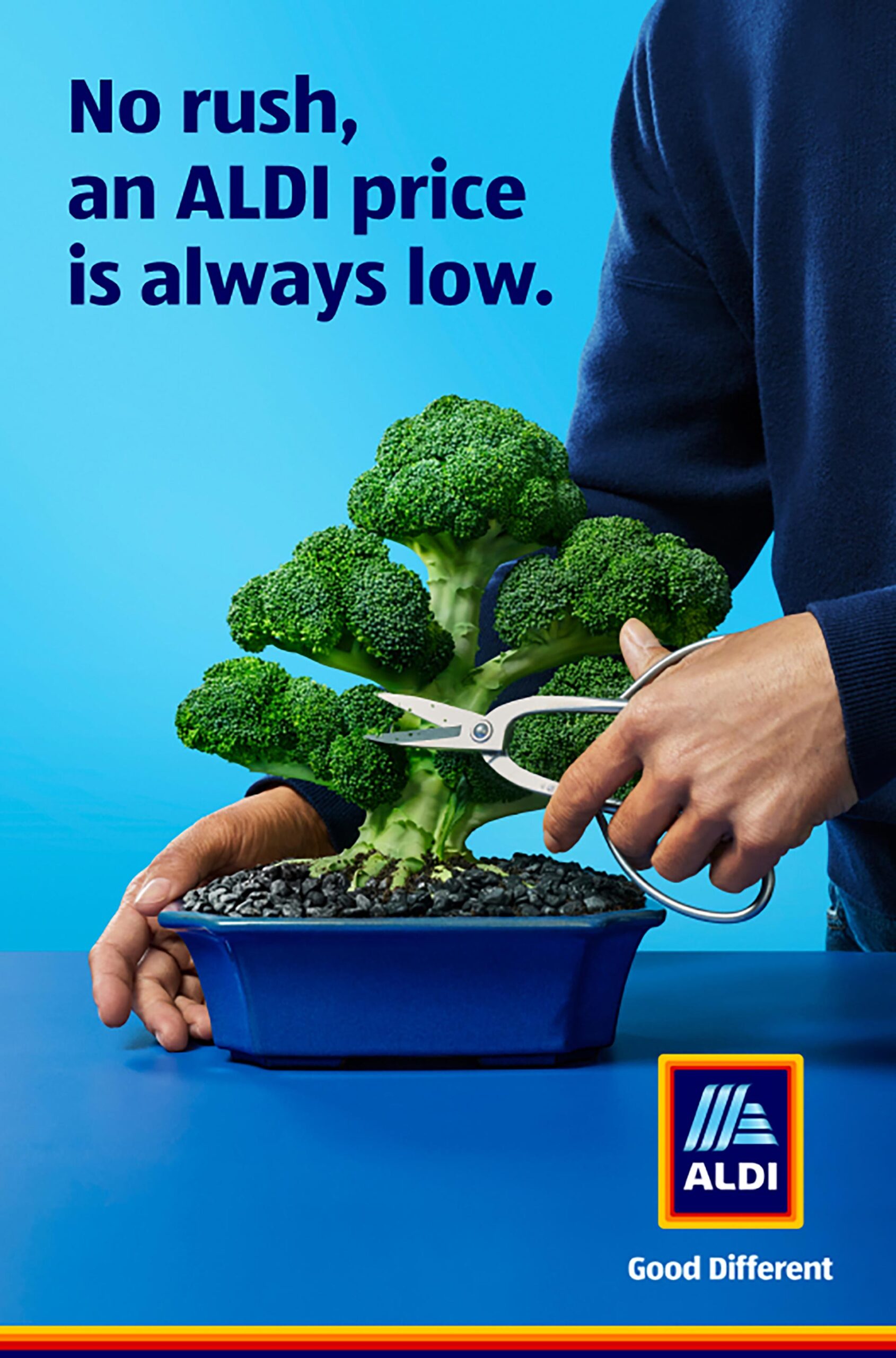 ALDI ALDI Prices April, 2026 by  Jo Duck