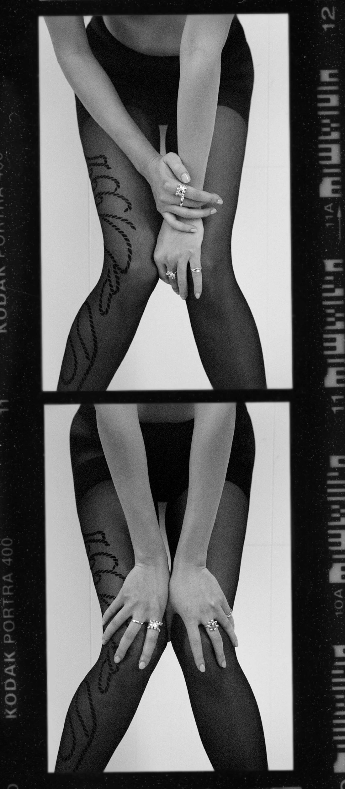 by Hannah Scott-Stevenson 